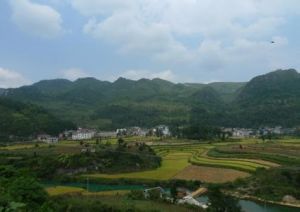 美谷中村 美谷中村