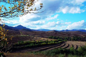 大冷山生態旅遊區 大冷山生態旅遊區