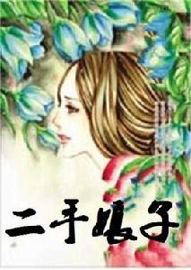 二手娘子 二手娘子