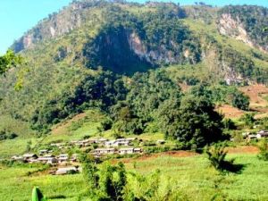 東坡自然村 東坡自然村
