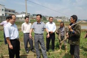 百屯居委會 百屯居委會