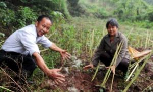 巨型冰雹 巨型冰雹