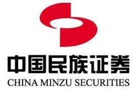中國民族證券 中國民族證券