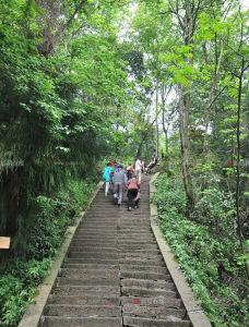 拾級而上 拾級而上