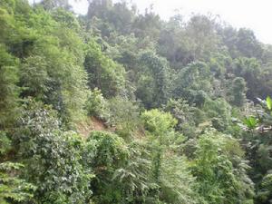 （圖）老范寨鄉