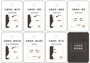 幾種不完美鼻型介紹
