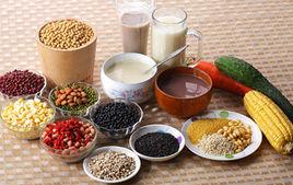 豆類澱粉 豆類澱粉