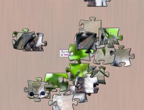 可愛小貓拼圖 可愛小貓拼圖