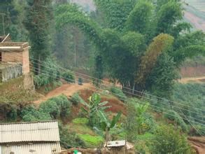上土魯白村 上土魯白村