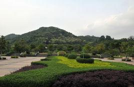 龍頭山森林公園 龍頭山森林公園