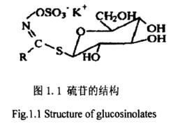 硫代葡萄糖苷 硫代葡萄糖苷