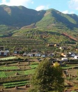 下陳基卡自然村 下陳基卡自然村