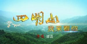 四明山我來看你