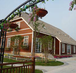 大豐荷蘭花海 大豐荷蘭花海