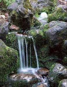 臥石西村 臥石西村