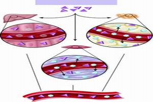 糖尿病合併低血糖