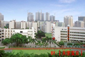 深圳市蛇口中學 深圳市蛇口中學