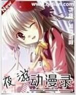 夜遊動漫錄