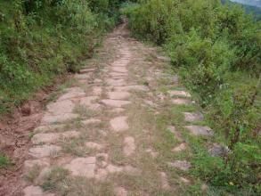 野豬塘小新寨村 野豬塘小新寨村