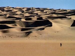 《撒哈拉沙漠》