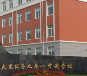 九年一貫制 九年一貫制