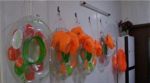 愛寶樂嬰童游泳館 愛寶樂嬰童游泳館