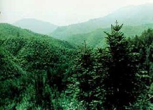 鷲峰山脈 鷲峰山脈