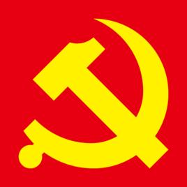中國共產黨黨旗黨徽製作和使用的若干規定
