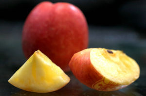 陽光娃娃 陽光娃娃