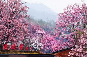 九皇山花溪景旅遊區 九皇山花溪景旅遊區