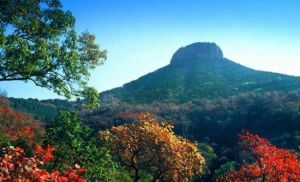 棗莊抱犢崮 棗莊抱犢崮