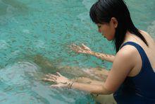 星子魚溫泉魚療