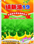 綿新油19 綿新油19