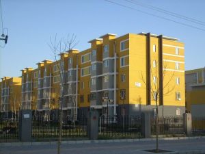 大高力莊村 大高力莊村