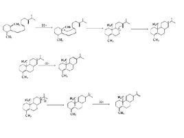 碳正離子 碳正離子