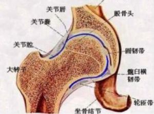 骨癌轉移的檢查