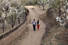 電影《梨花情》劇照