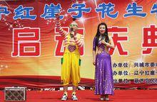 全國最大的花生市場紅崖子花生物流園啟動