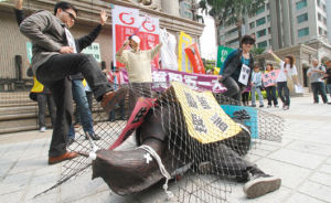 無殼蝸牛 無殼蝸牛