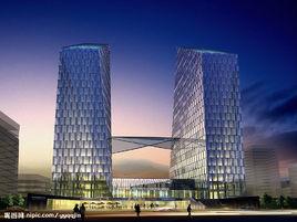 新建築運動 新建築運動