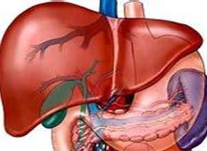代謝減退 代謝減退