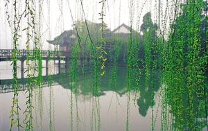 初春[日本姓氏]