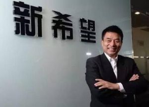 四川希望銀行 四川希望銀行