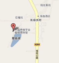 （圖）蜜蜂博物館