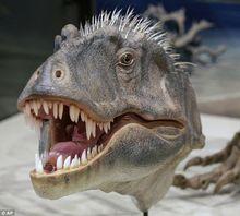 頭部復原效果圖