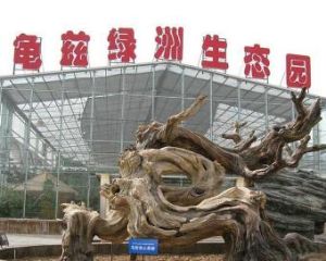 龜茲綠洲生態園 龜茲綠洲生態園