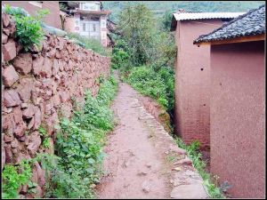 梅紅向陽村 梅紅向陽村