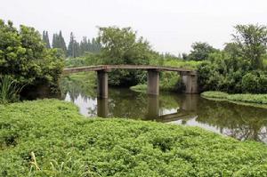 趙家壩自然村 趙家壩自然村