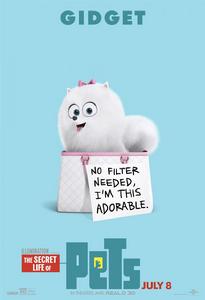 寵物的秘密生活[美國電影]