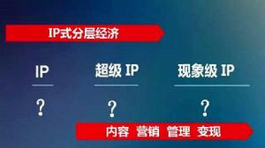 IP運營 IP運營